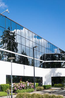 企业品牌网站建设